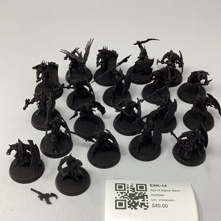 Age of Sigmar Kairic Acolytes EXK-14