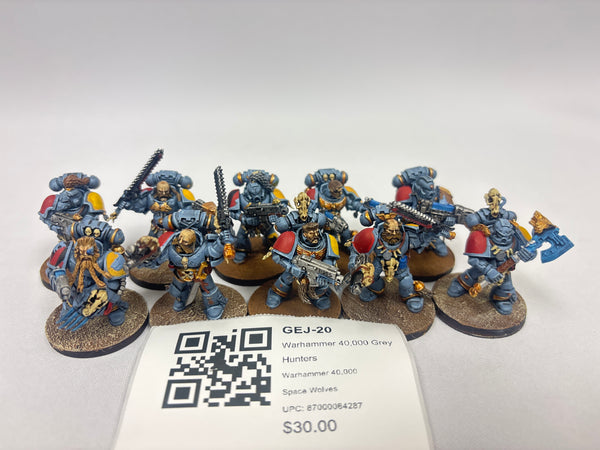 Warhammer 40,000 Grey Hunters GEJ-20