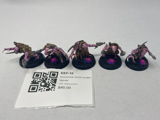 Warhammer 40,000 Acolyte Hybrids EEF-16