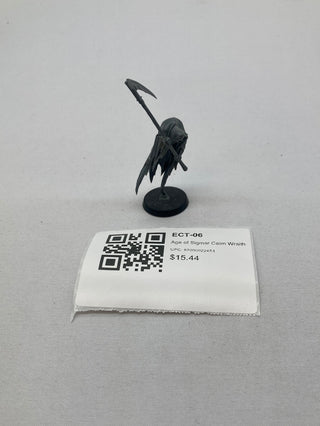 Age of Sigmar Cairn Wraith ECT-06