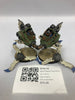 Age of Sigmar Gyrocopters GYK-12