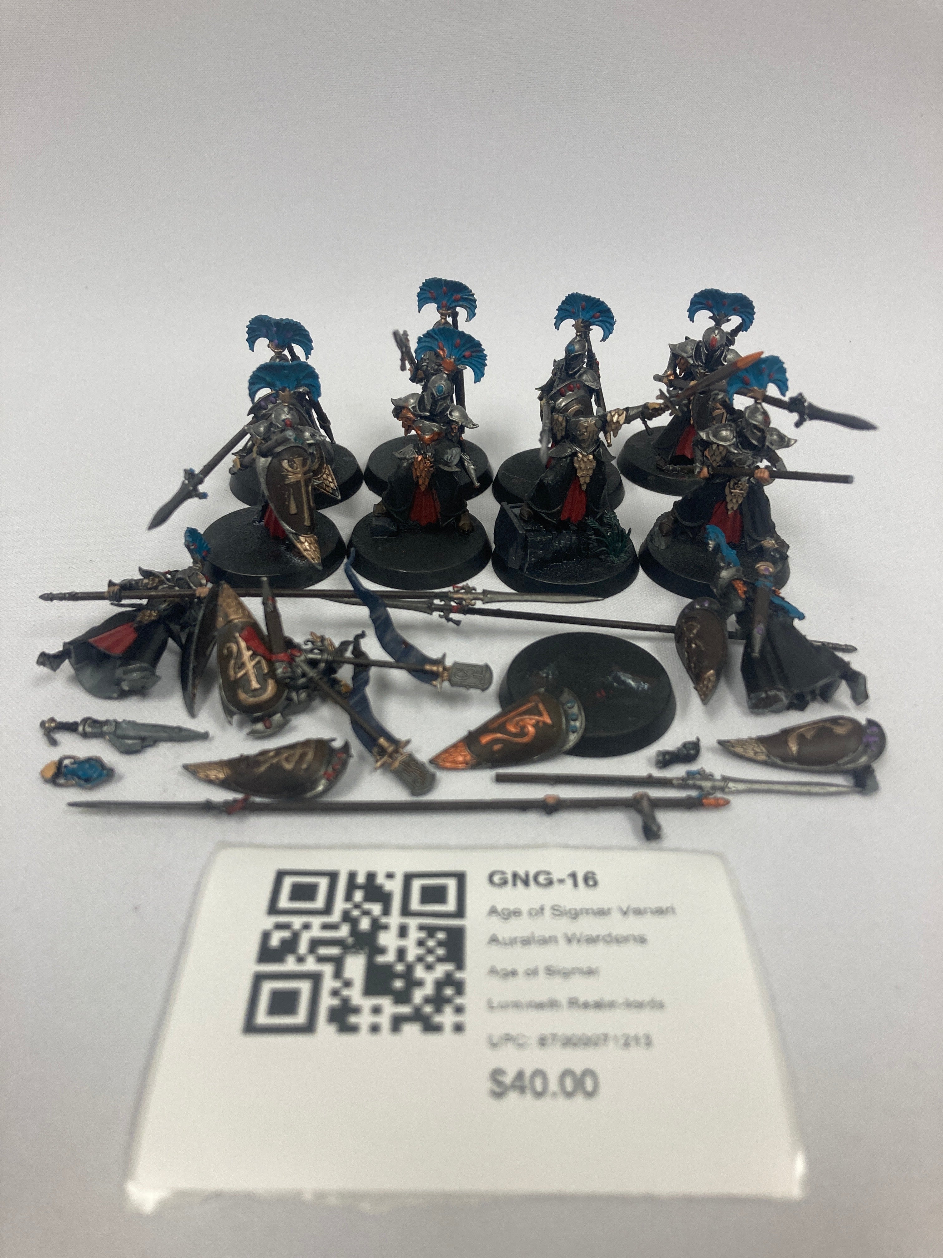 Age of Sigmar Vanari Auralan Wardens GNG-16