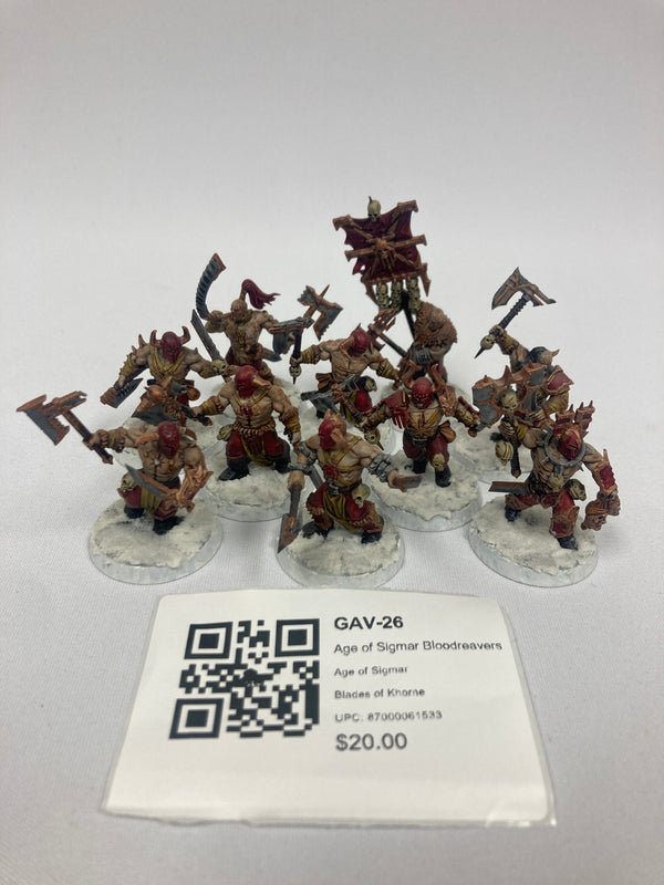 Age of Sigmar Bloodreavers GAV-26