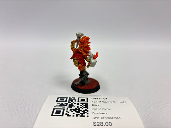 Age of Sigmar Grimhold Exile GPY-11