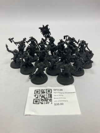 Age of Sigmar Bloodreavers GFV-09