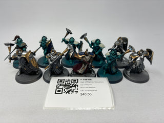 Age of Sigmar Sequitors FTM-08