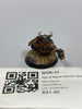 Age of Sigmar Warden King GYK-17