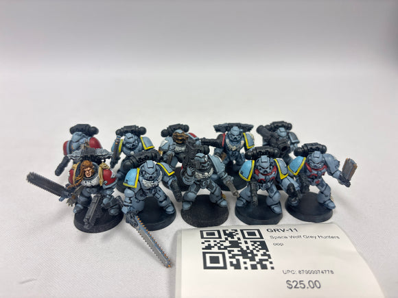 Space Wolf Grey Hunters oop GRV-11