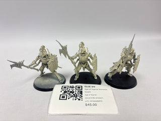 Age of Sigmar Immortis Guard GJZ-29