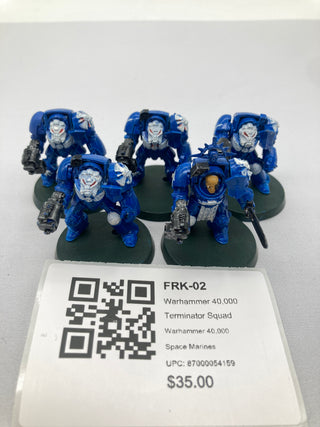 Warhammer 40,000 Terminator Squad FRK-02