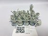 Age of Sigmar Mortek Guard GKA-05