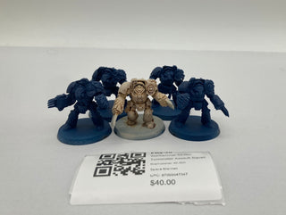 Warhammer 40,000 Terminator Assault Squad FIQ-30