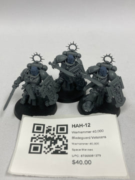 Warhammer 40,000 Bladeguard Veterans HAH-12