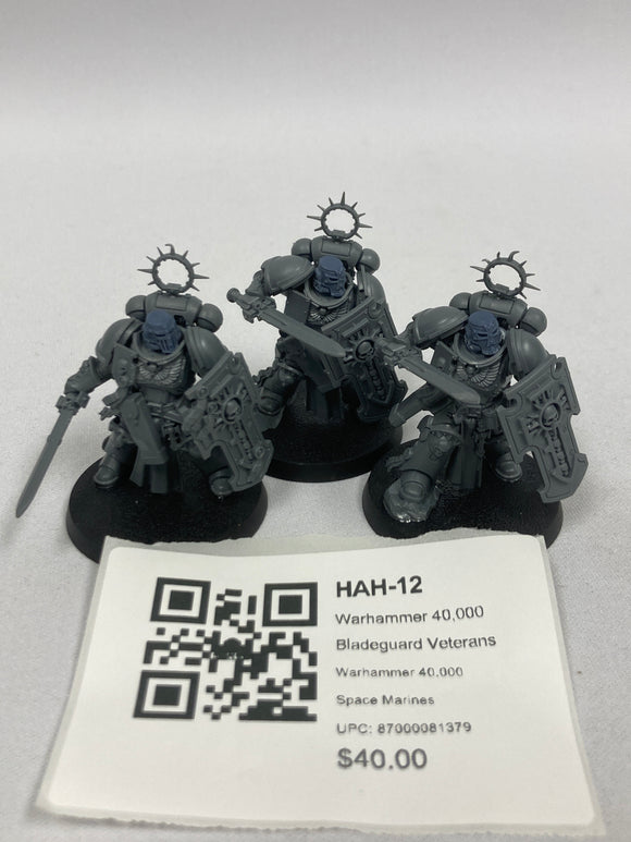 Warhammer 40,000 Bladeguard Veterans HAH-12