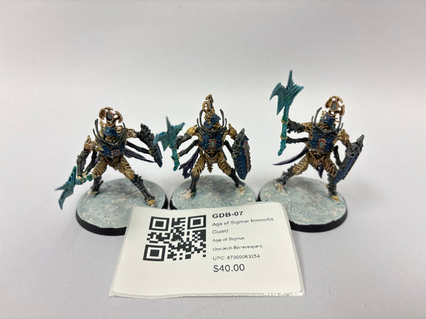 Age of Sigmar Immortis Guard GDB-07