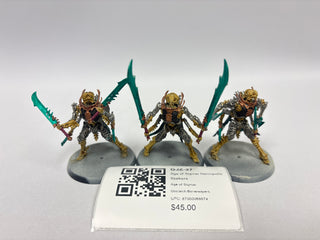 Age of Sigmar Necropolis Stalkers GJZ-27