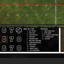 FLG Blood Bowl Grass Mat-3