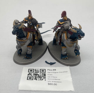 Age of Sigmar Dracothian Guard FLL-09