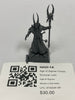 Age of Sigmar Chaos  Sorcerer Lord HAD-14