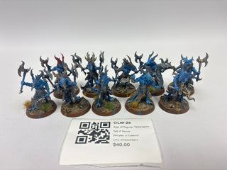 Age of Sigmar Tzaangors GLM-28