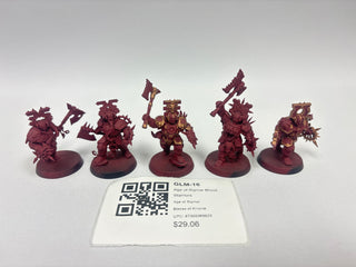Age of Sigmar Blood Warriors GLM-16