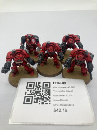 Warhammer 40,000 Terminator Squad FRQ-09