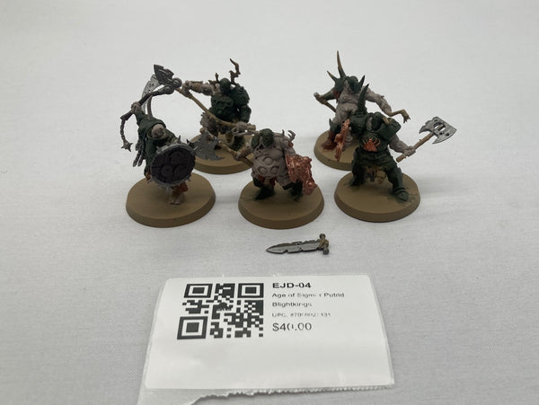 Age of Sigmar Putrid Blightkings EJD-04