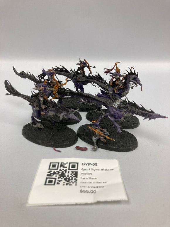 Age of Sigmar Blissbarb Seekers GYP-09
