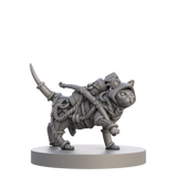 Cats & Catacombs Volume 1