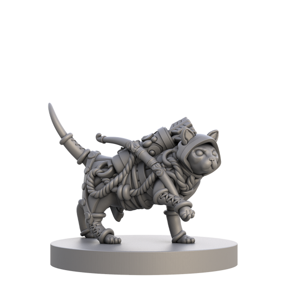 Cats & Catacombs Volume 1