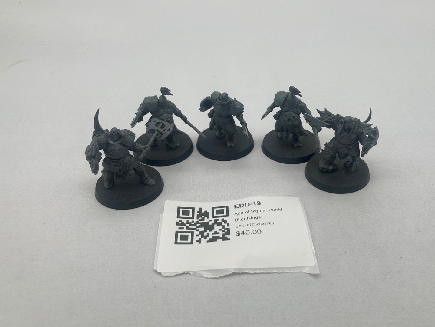 Age of Sigmar Putrid Blightkings EDD-19