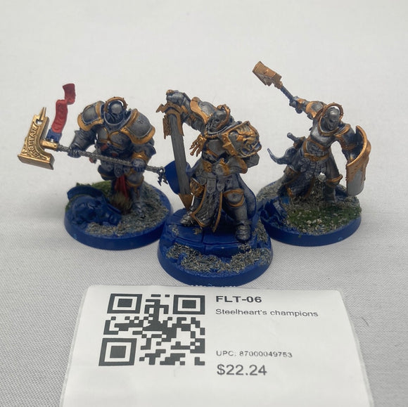 Steelheart's champions FLT-06