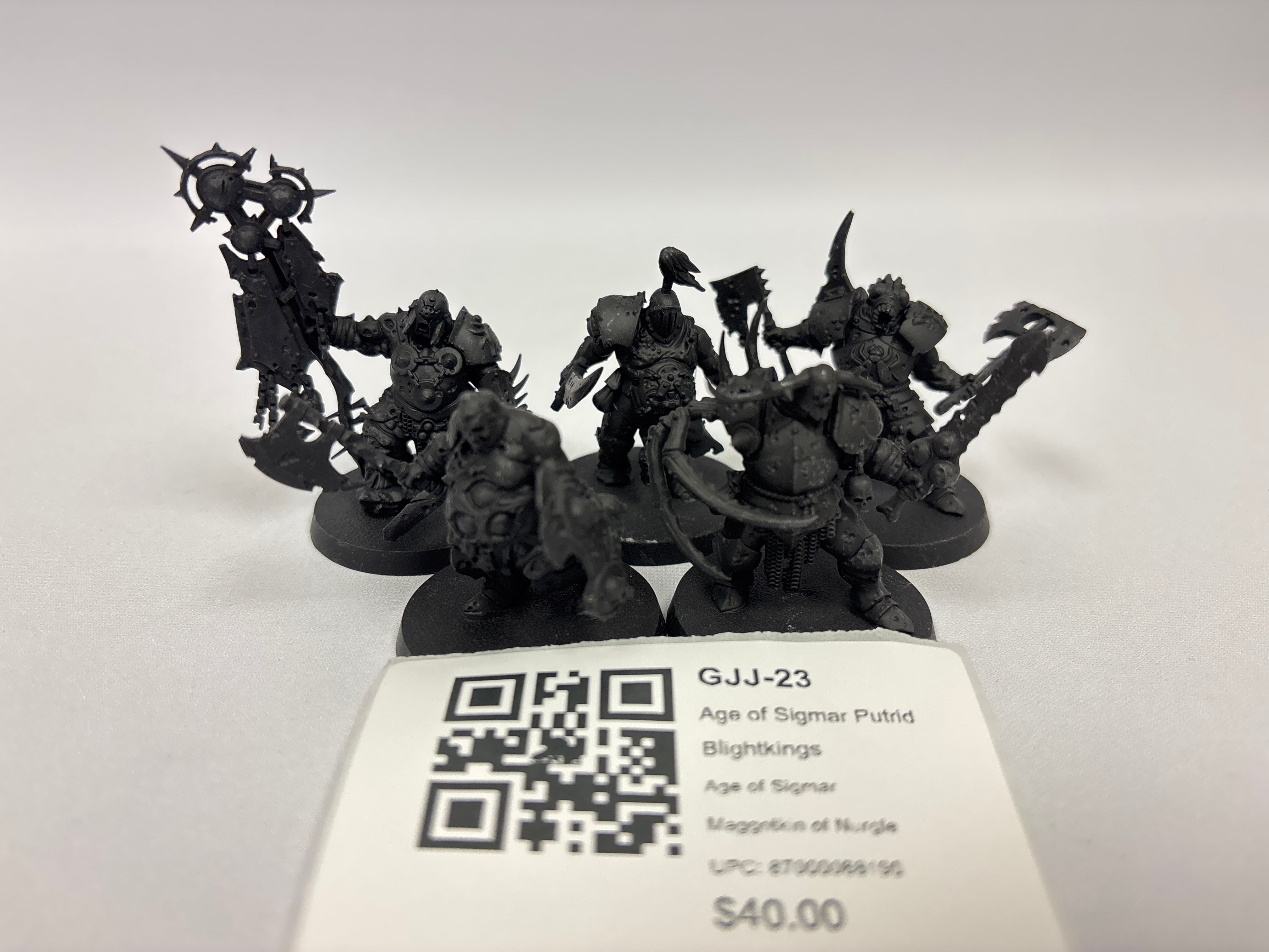 Age of Sigmar Putrid Blightkings GJJ-23