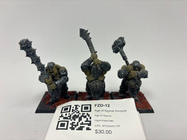 Age of Sigmar Ironguts FZD-12