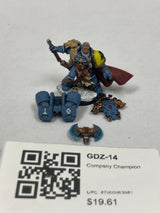 Company Champion GDZ-14