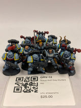 Space Wolf Grey Hunters oop GRV-12
