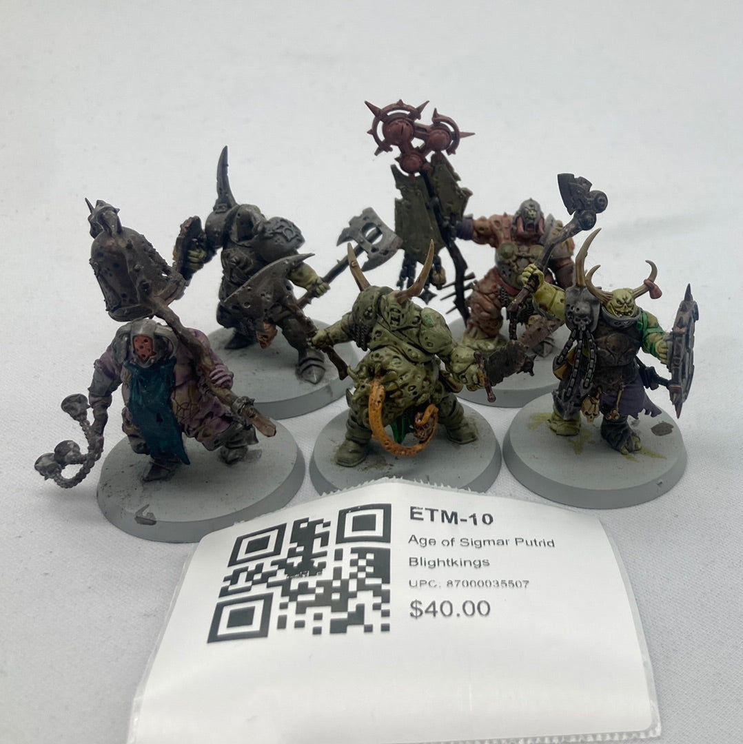 Age of Sigmar Putrid Blightkings ETM-10
