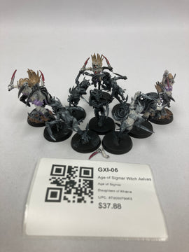 Age of Sigmar Witch Aelves GXI-06