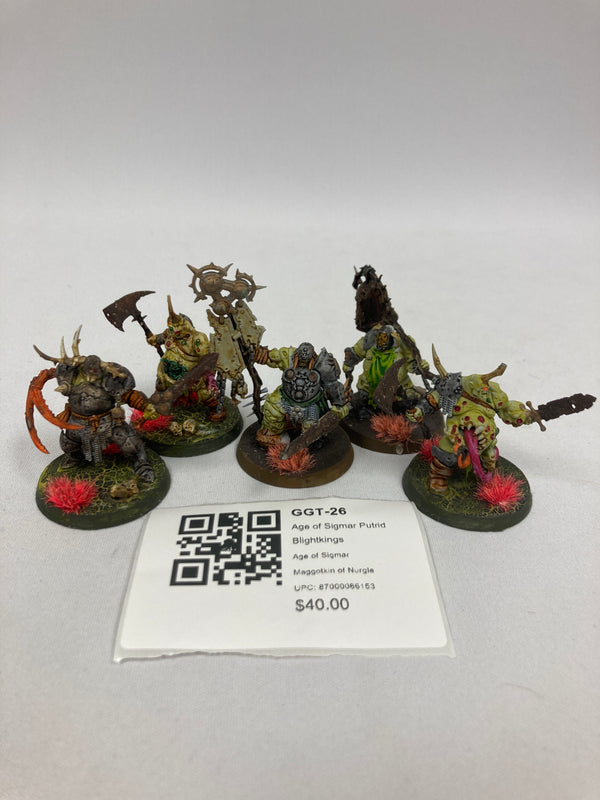 Age of Sigmar Putrid Blightkings GGT-26