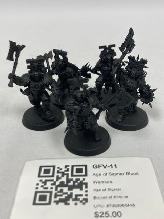 Age of Sigmar Blood Warriors GFV-11