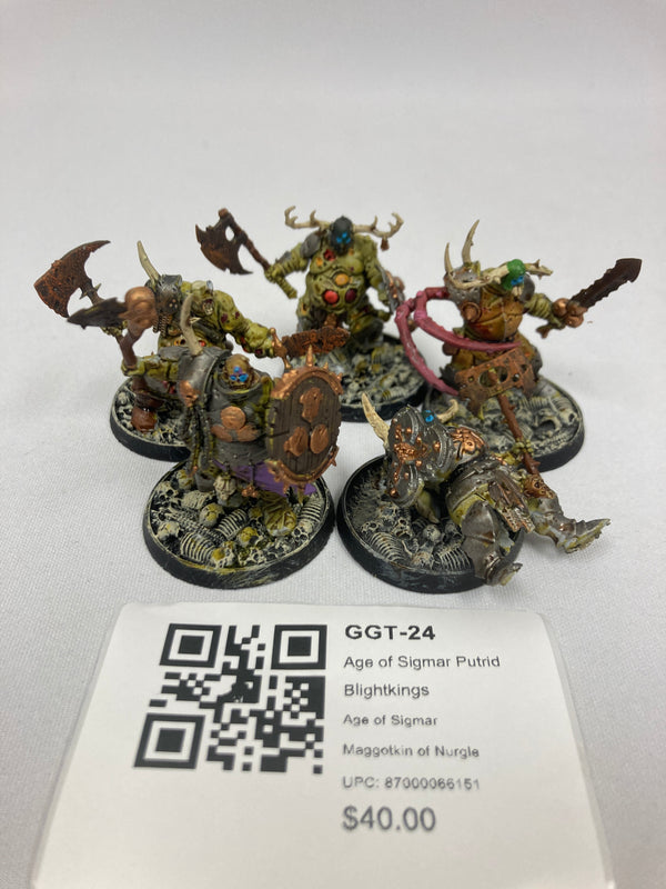 Age of Sigmar Putrid Blightkings GGT-24