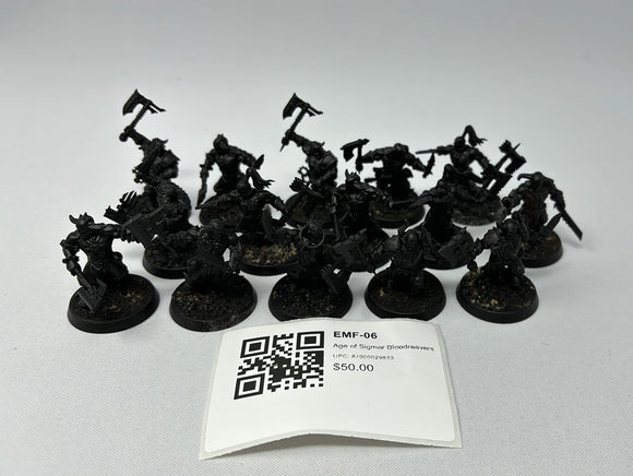 Age of Sigmar Bloodreavers EMF-06