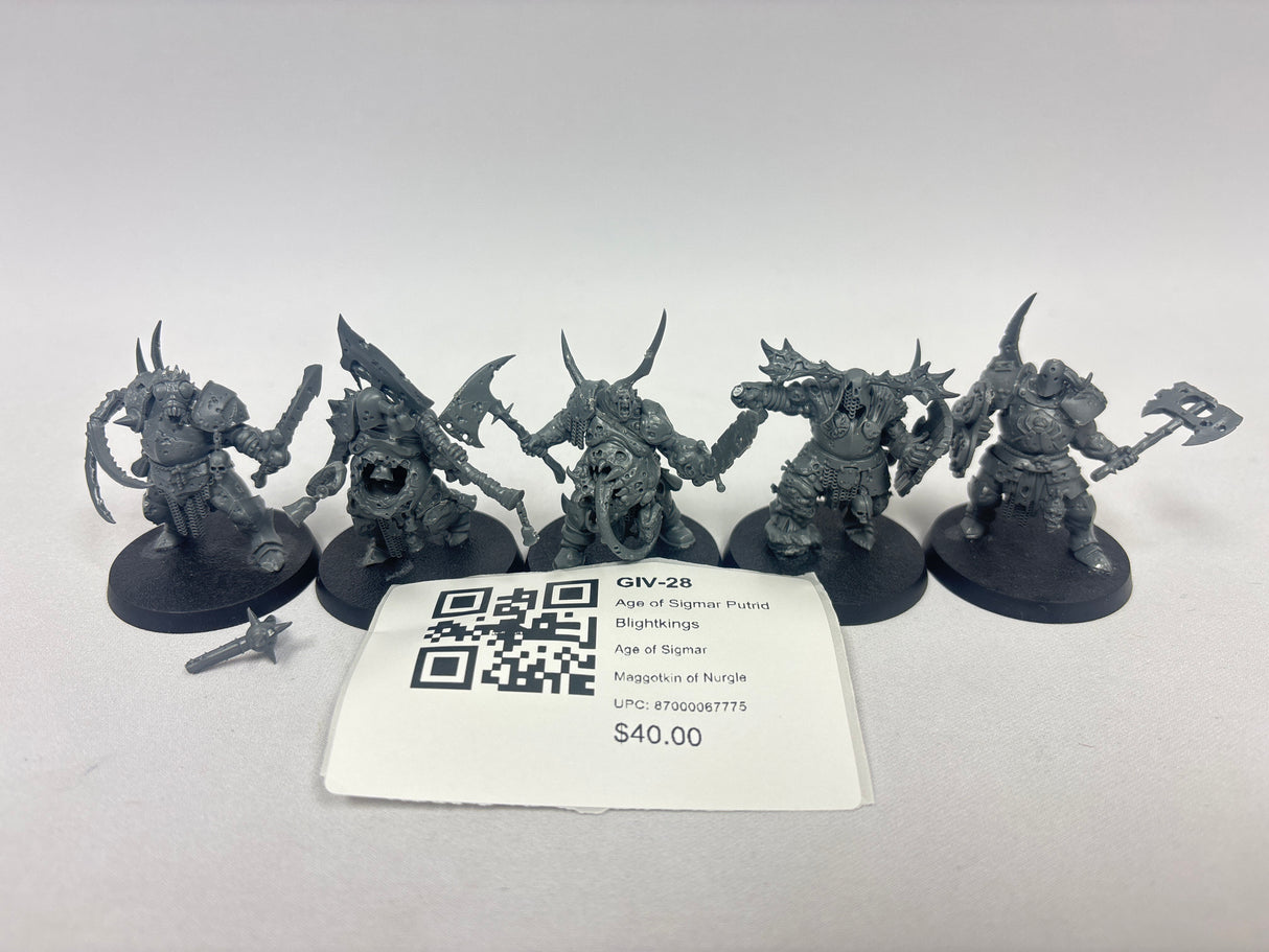 Age of Sigmar Putrid Blightkings GIV-28