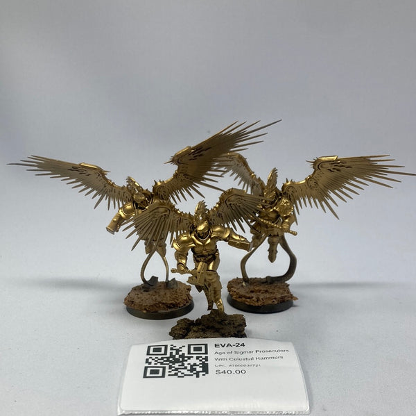 Age of Sigmar Prosecutors With Celestial Hammers EVA-24