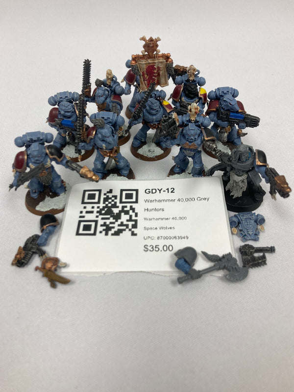 Warhammer 40,000 Grey Hunters GDY-12