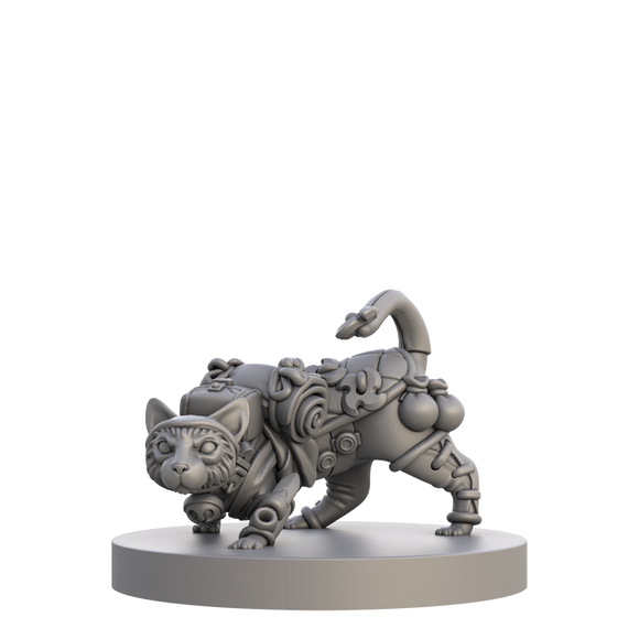 Cats & Catacombs Volume 1