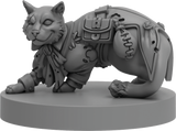 Cats of Gullet Cove