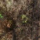 FLG Mats: Terrestrial Expanse-23