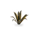 Gamers Grass: Laser Plants - Agave-4