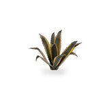 Gamers Grass: Laser Plants - Agave